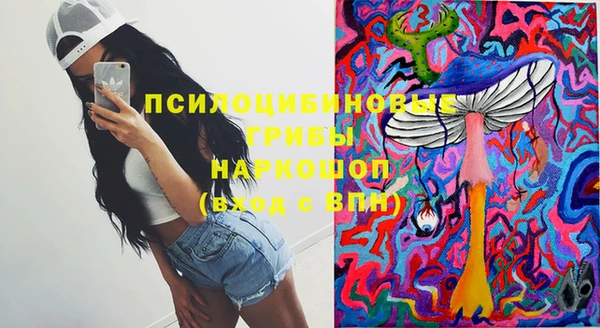 ПСИЛОЦИБИНОВЫЕ ГРИБЫ Балабаново
