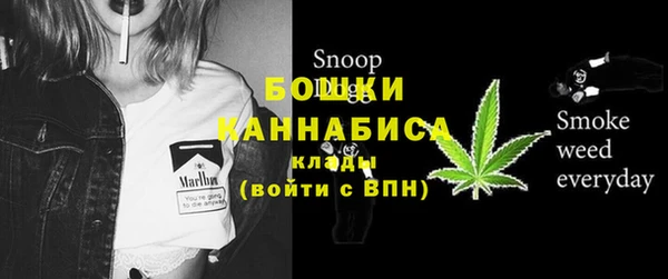ПСИЛОЦИБИНОВЫЕ ГРИБЫ Балабаново