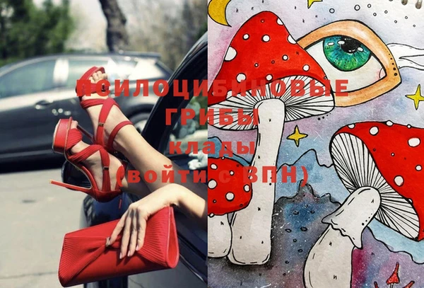 прущие крисы Балахна