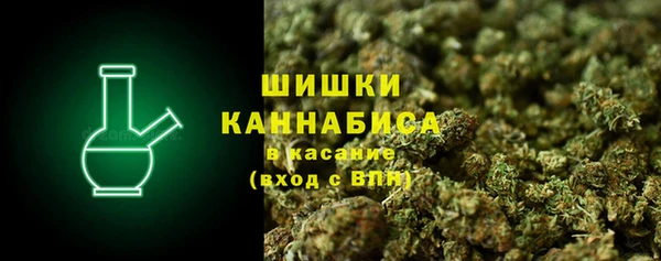 ПСИЛОЦИБИНОВЫЕ ГРИБЫ Балабаново