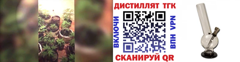 закладка  Новый Оскол  ТГК концентрат 
