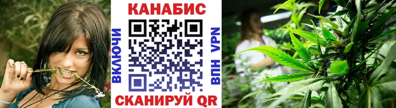 kraken   хочу   Новый Оскол  Канабис MAZAR 